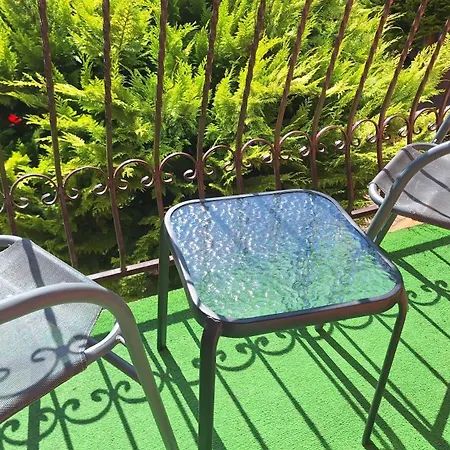 Проживание в семье Rafa *