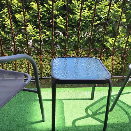 Проживание в семье Rafa *