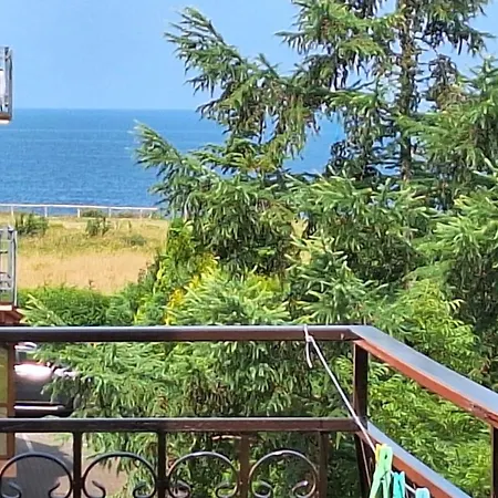 Проживание в семье Rafa