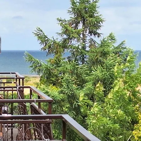 Проживание в семье Rafa