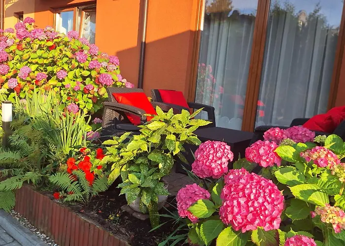 ホームステイ Rafa トシェンサチ