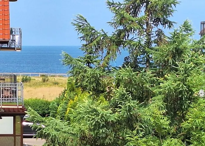 ホームステイ Rafa