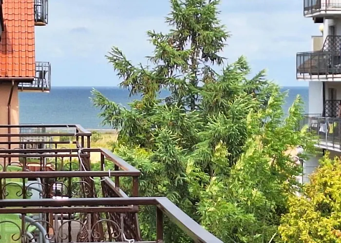 ホームステイ Rafa